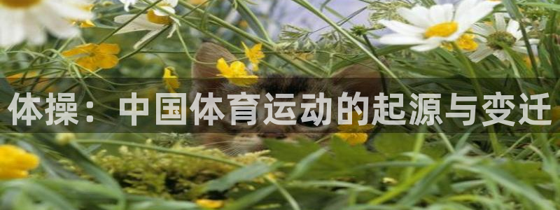J9官网下载招商电话地址:体操:中国体育运动的起源与变迁
