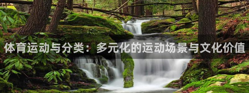 J9官方正版app娱乐首页官网下载:体育运动与分类:多元化的