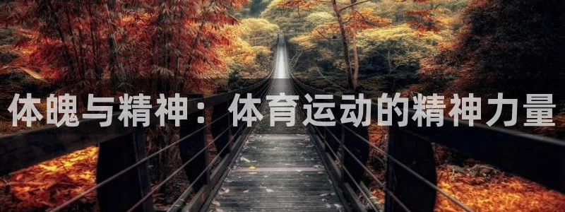 J9官网下载软件:体魄与精神:体育运动的精神力量